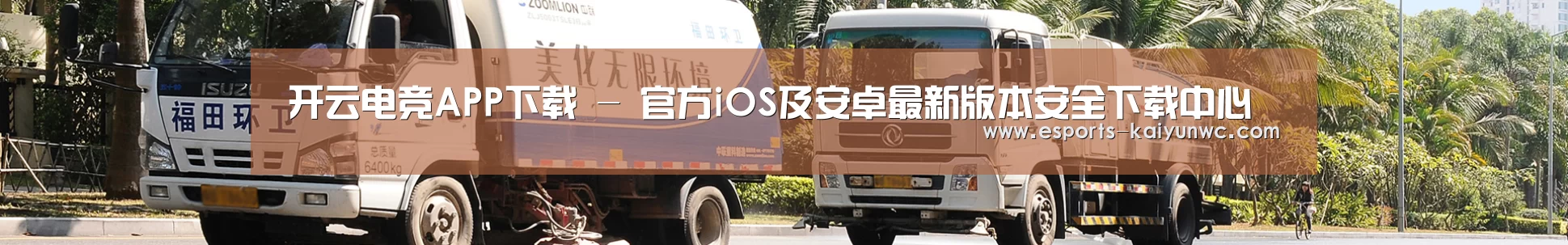 成功案例