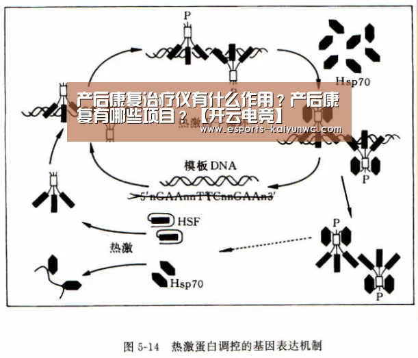 产后康复治疗仪有什么作用?产后康复有哪些项目?【开云电竞】(图3) 开云电竞官网