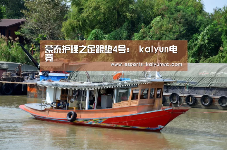 蒙泰护理之足跟垫4号: kaiyun电竞
