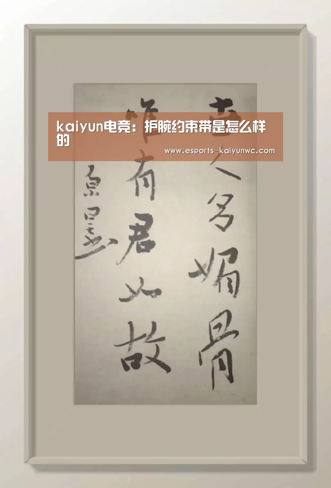 kaiyun电竞:护腕约束带是怎么样的(图2) 开云电竞